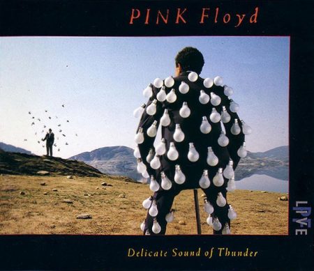 Pink Floyd: Delicate Sound Of Thunder - Live (2CD)