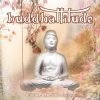 Buddhattitude: Tzu Yo - Buddha-Bar SPA Collection
