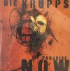   Krupps, Die: Paradise Now (1CD) (1997)  (kissé karcos lemez)