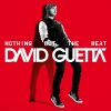 Guetta, David: Nothing But The Beat (2CD)