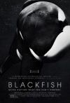Blackfish (1DVD) (2013) (feliratos)