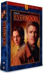 Everwood - A mi kis városunk 1. évad (6DVD box)