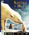 Ketten a jégen (1DVD) (Arctic Tale, 2007)