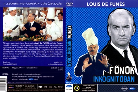 Főnök inkognitóban (1DVD)