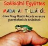   Szélkiáltó Együttes: Madarak Tolláról - Dalok Nagy Bandó András verseire gyerekeknek és szüleiknek (1CD)