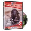   Természet Csodái 06. - Kandula, az ázsiai elefánt (1DVD) (2008) (Discovery)
