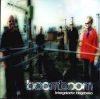 BoomBoom: Intergalactic Megahello (1CD) (2001)