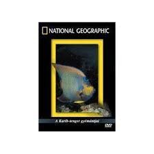  Karib-tenger gyémántjai, A (National Geographic) (1DVD) (gyárilag írott lemez)