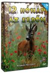   Tizenkét hónap az erdőn (2DVD) (12 hónap az erdőn) (Rácz Gábor)