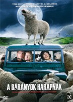 Bárányok harapnak, A (1DVD) (kissé karcos példány)