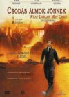 Csodás álmok jönnek (1DVD) (Oscar-díj) (szinkron)