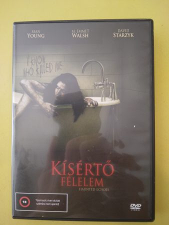 Kísértő félelem (1 DVD)(thriller)(2008)(Sean Young)