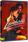   Lambada - Forró és veszélyes (1990) (1DVD) (Joel Silberg) (kissé karcos példány)