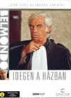 Idegen a házban (1DVD)