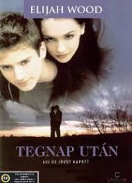 Tegnap után (1DVD) (The Bumblebee Flies Anyway)