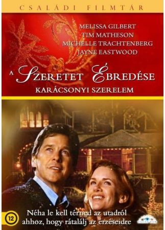 Szeretet ébredése, A - Karácsonyi szerelem (1DVD) (Etalon Film kiadás) (karácsonyi filmek) (karcos lemez) (könyvtári példány) (borítón pecsét, matricák jelzésekkel)