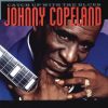 Copeland, Johnny: Catch Up With The Blues (1CD)