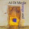 Al Di Meola ‎– Orange And Blue (1CD) (1994)