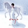 Enya: And Winter Came... (1CD)