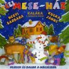 Téli Mese-Ház - Versek És Dalok A Hóesésből (1CD) 