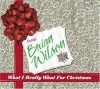  Wilson, Brian: What I Really Want For Christmas (1CD) (digipack) (használt példány)
