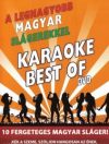   Karaoke Best Of DVD - A Legnagyobb Magyar Slágerekkel (1DVD) (2009) (karcos példány)