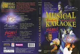 Musical Karaoke : Énekelj a sztárokkal ! (1DVD) (2007) ( kissé karcos )