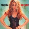 Shakira: She Wolf (1CD) (2009)(digipack)